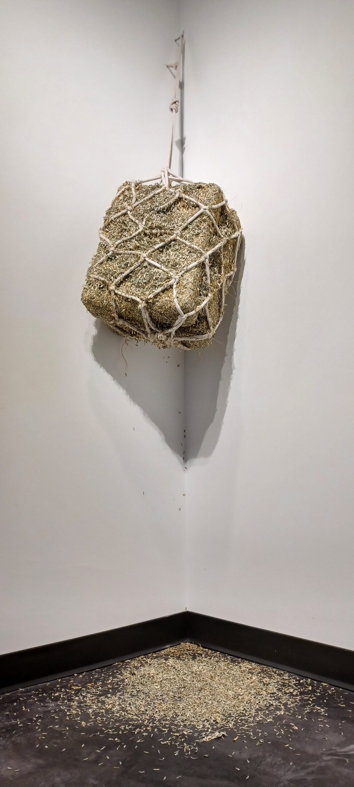 Sculpture of a hay net full of money scraps